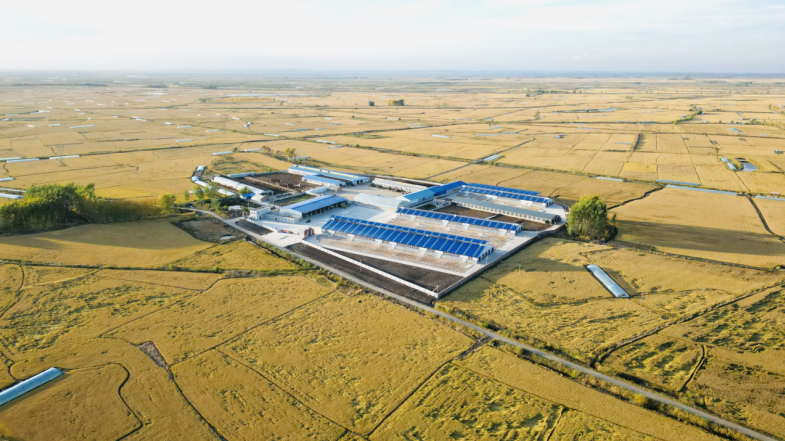 斐缦讷河医用牛产业基地